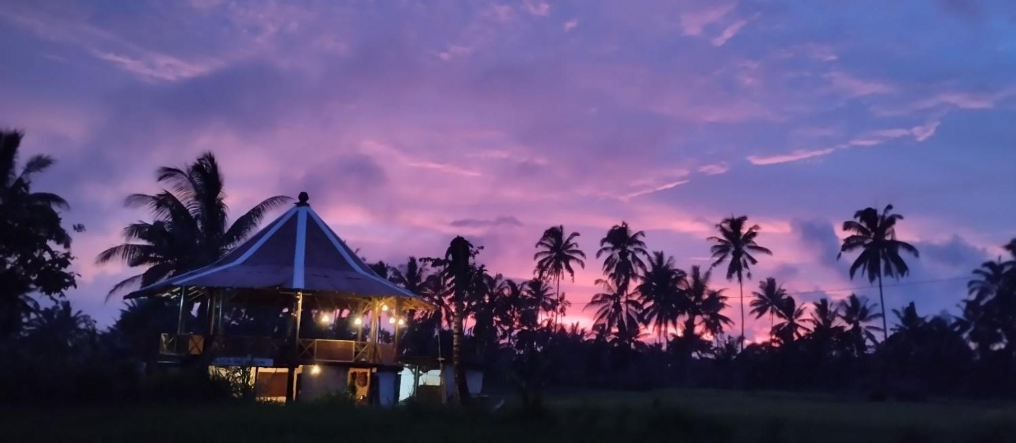 Rice Field Inn - Lombok Tetebatu Dış mekan fotoğraf