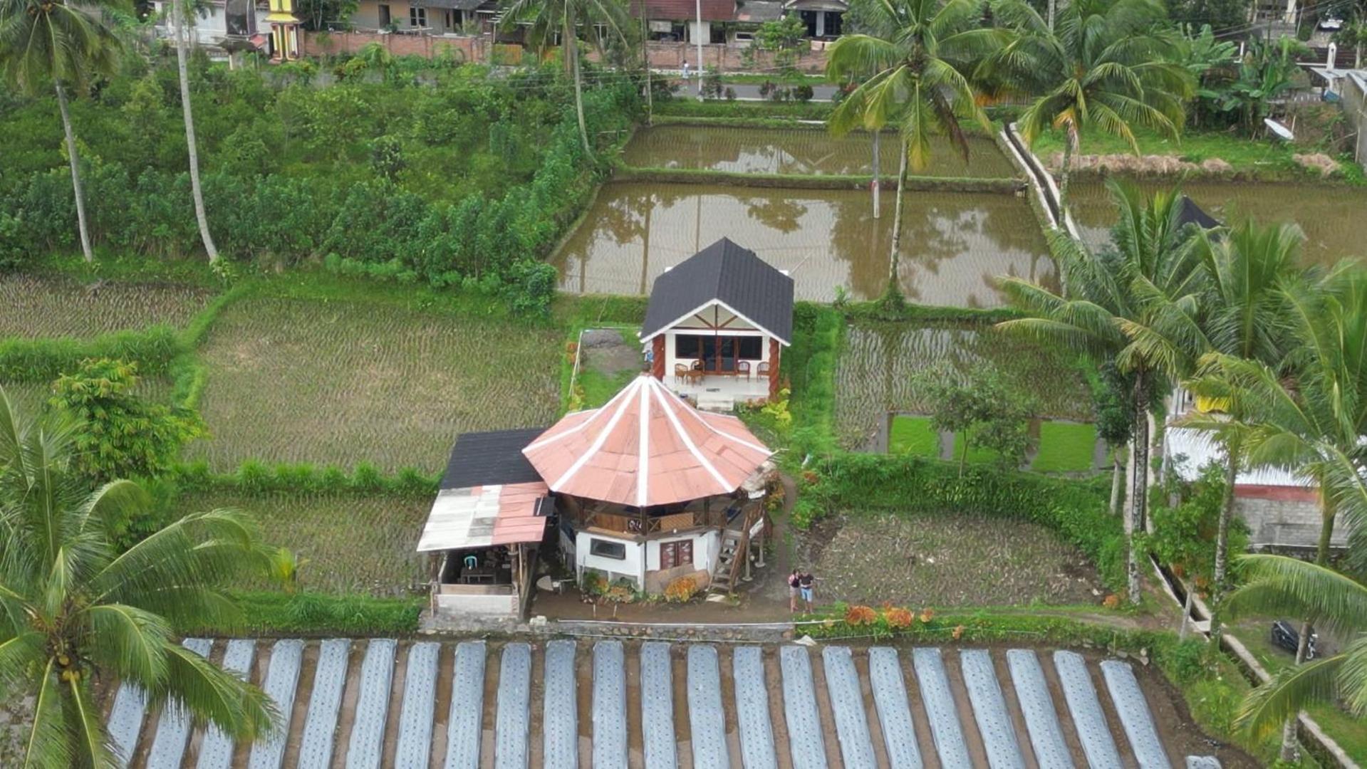 Rice Field Inn - Lombok Tetebatu Dış mekan fotoğraf