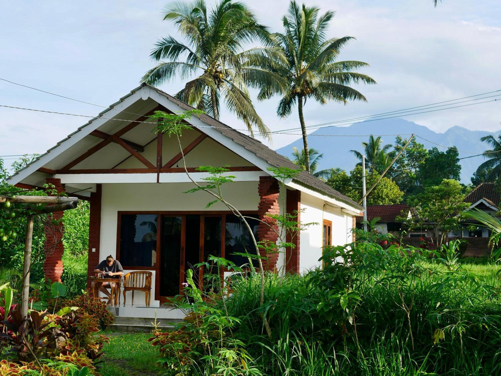 Rice Field Inn - Lombok Tetebatu Dış mekan fotoğraf